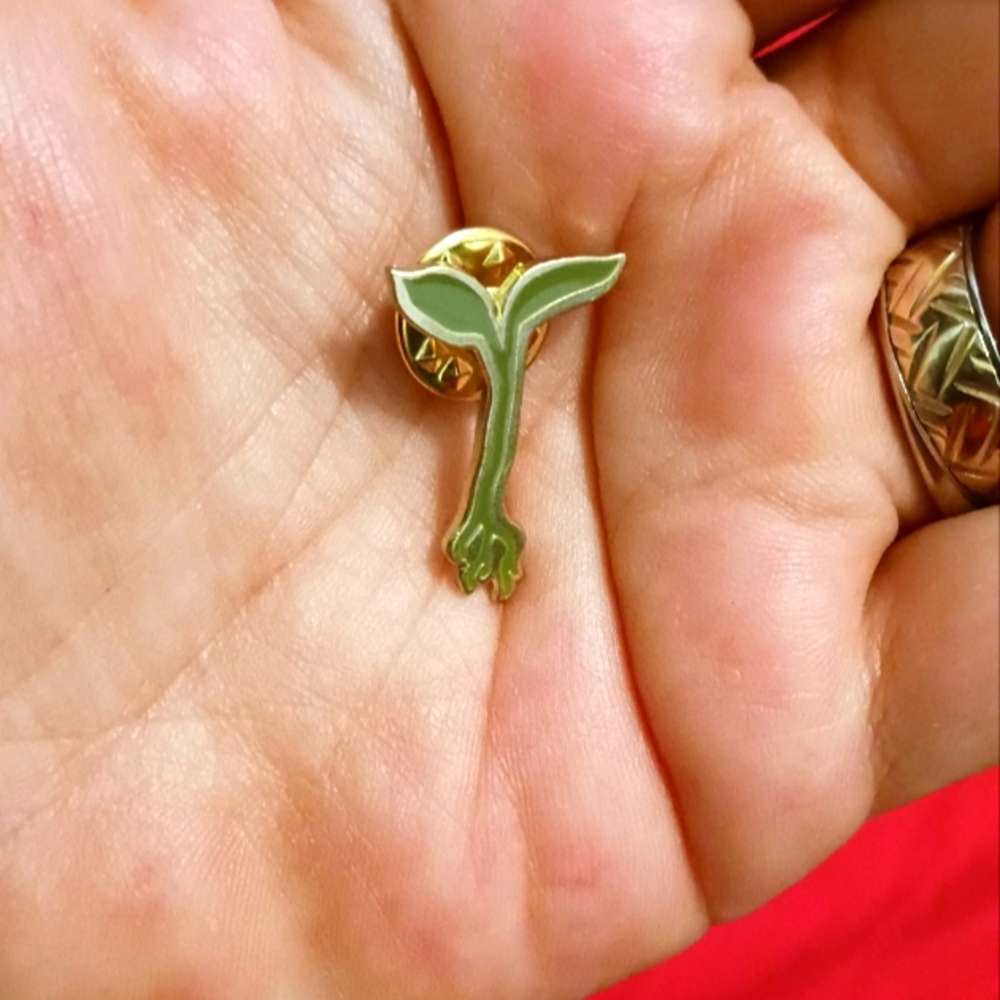 420 RAW GARDEN CANNABIS PIN. 💚🌱🌿